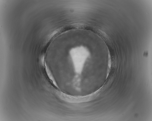 X0000091520047200709141423