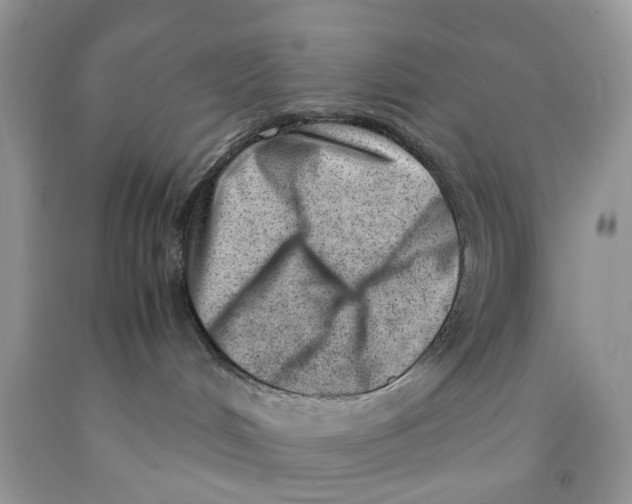 X0000091520048200709141423