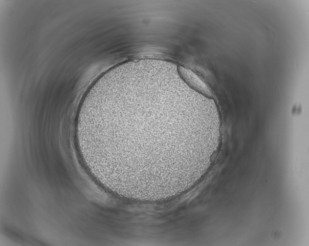 X0000091520049200709141423