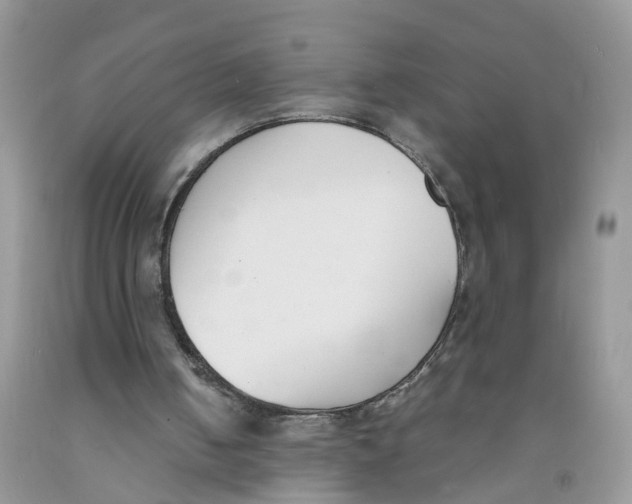 X0000091520050200709141423