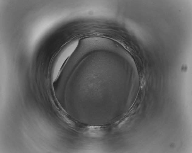 X0000091520052200709141423