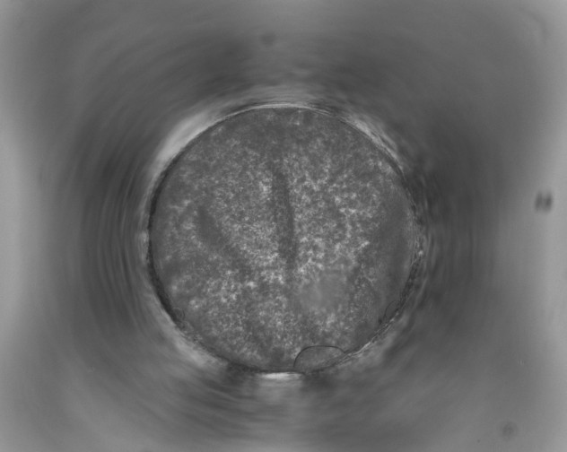 X0000091520053200709141423