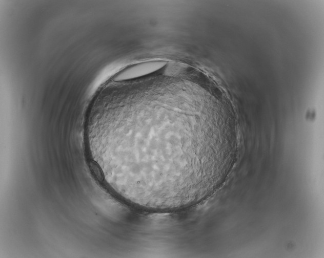 X0000091520054200709141423