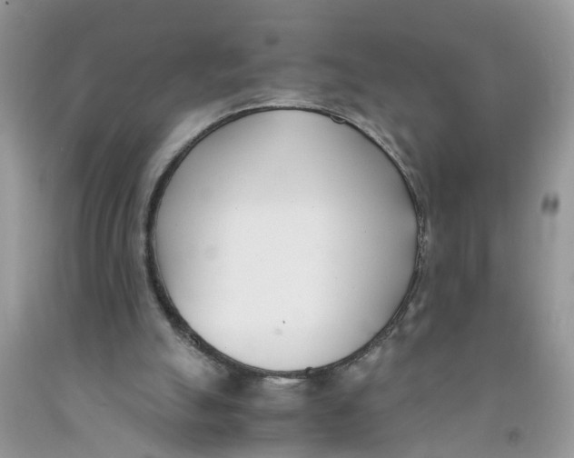 X0000091520055200709141423