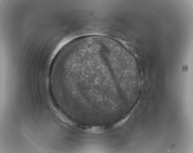 X0000091520056200709141423