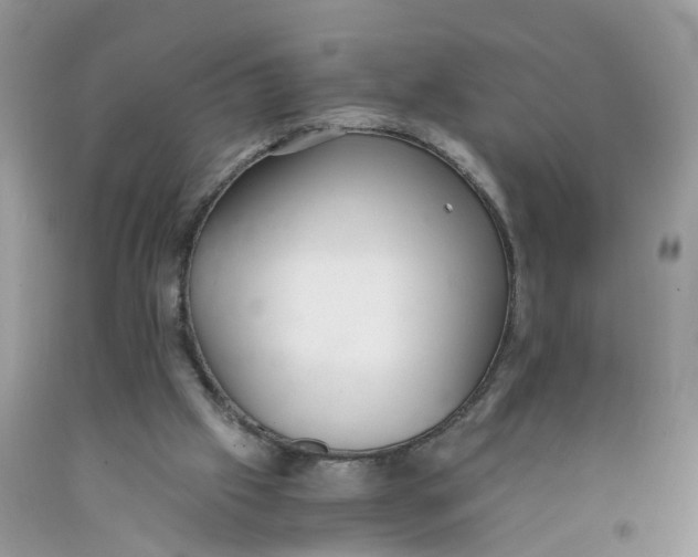 X0000091520057200709141423