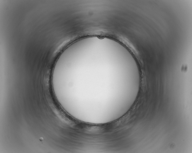 X0000091520058200709141423