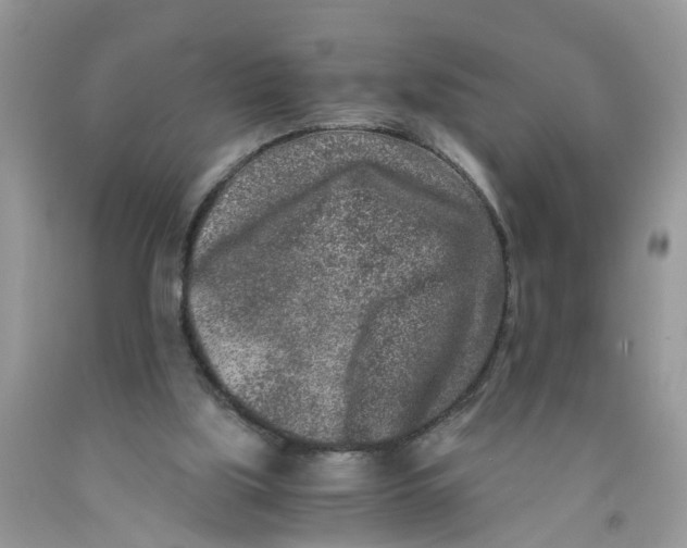 X0000091520059200709141423