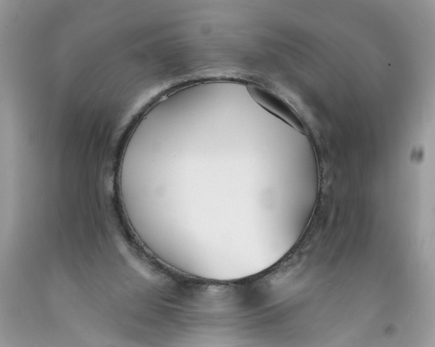 X0000091520060200709141423