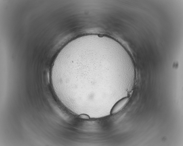 X0000091520061200709141423