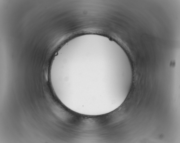 X0000091520062200709141423