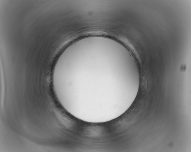 X0000091520063200709141423