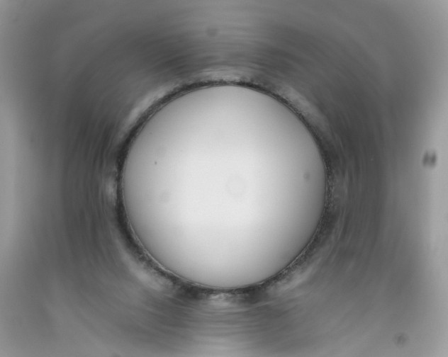 X0000091520064200709141423