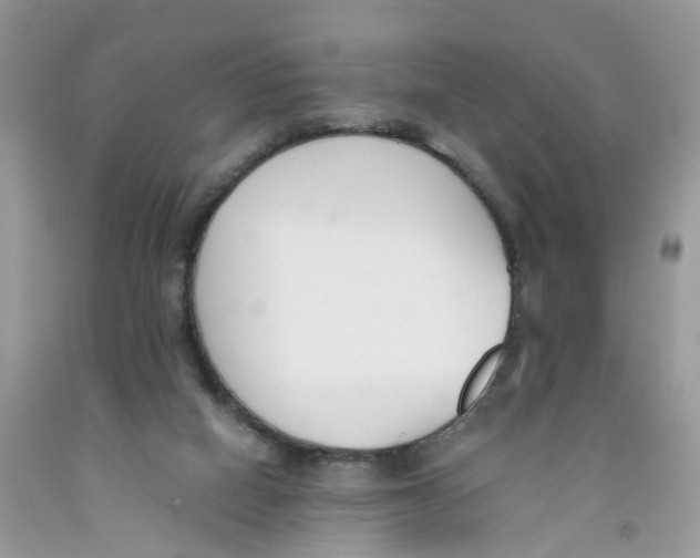 X0000091520066200709141423