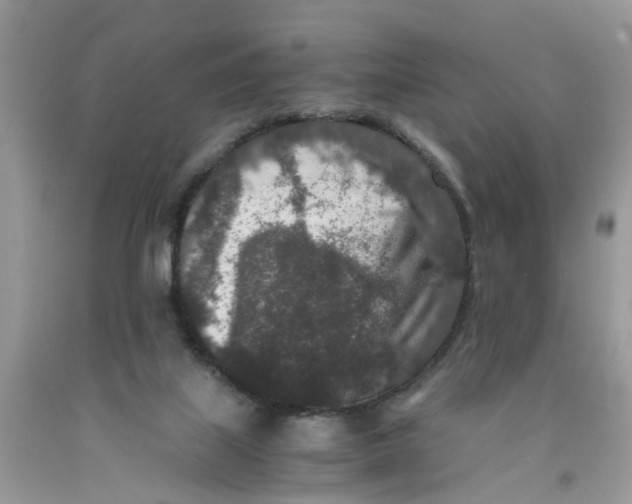 X0000091520067200709141423