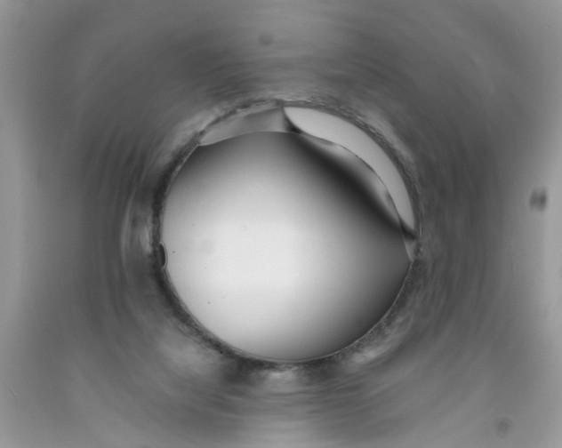 X0000091520068200709141423