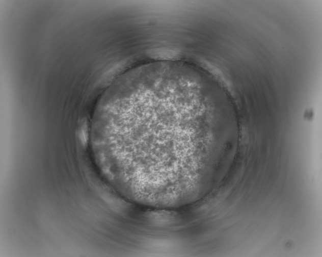 X0000091520069200709141423