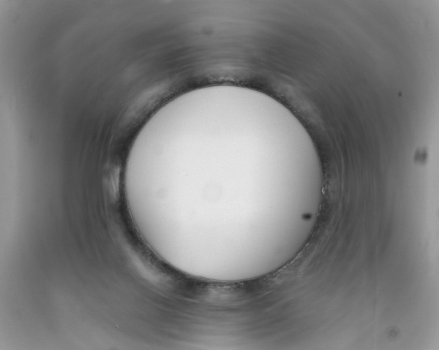 X0000091520070200709141423