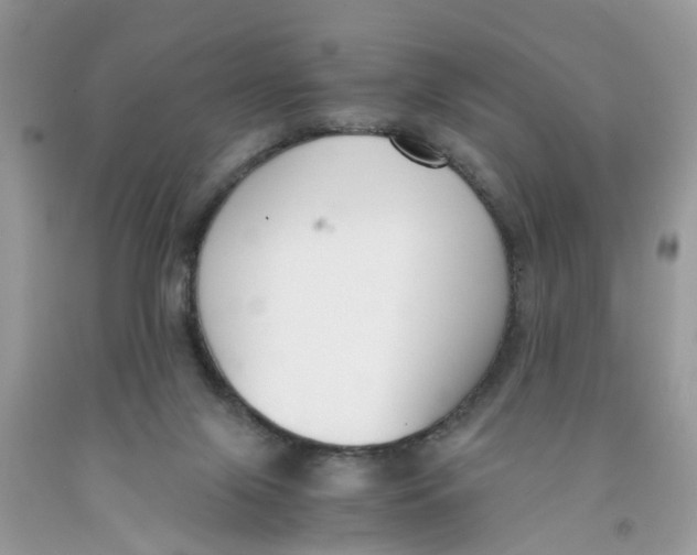 X0000091520071200709141423