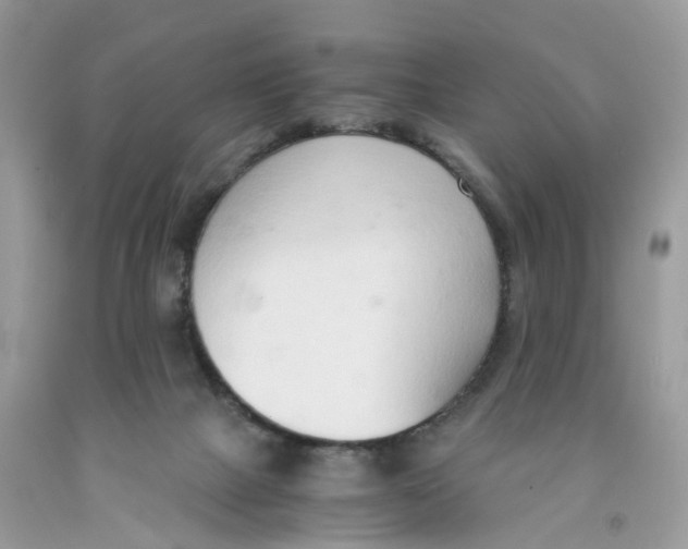 X0000091520073200709141423