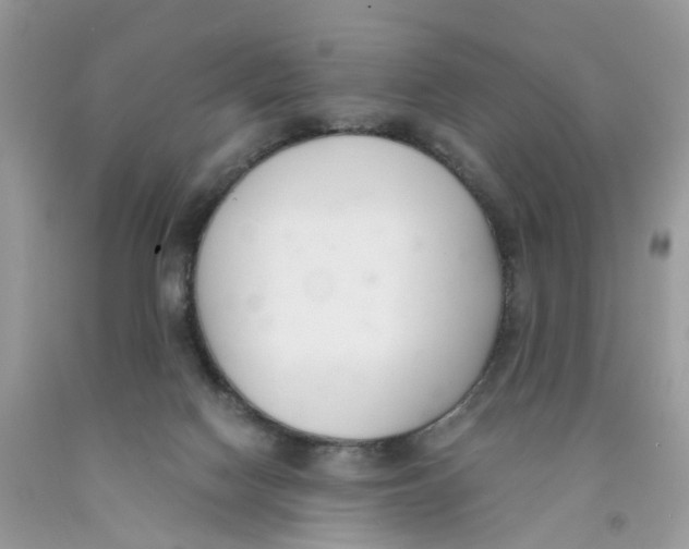 X0000091520074200709141423