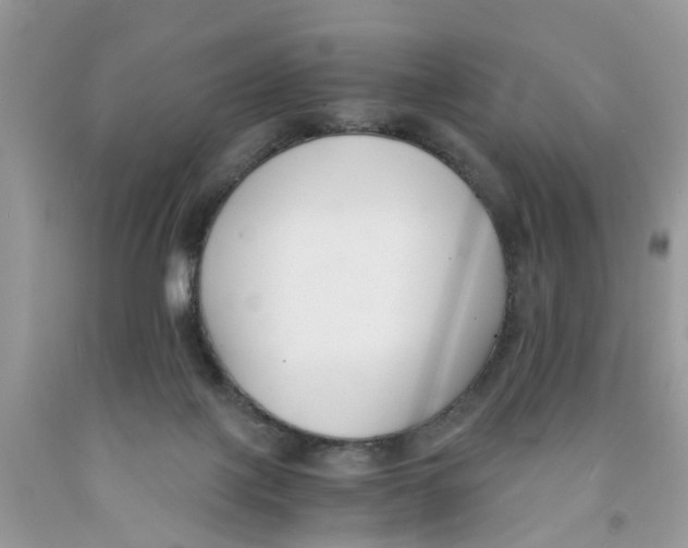 X0000091520075200709141423