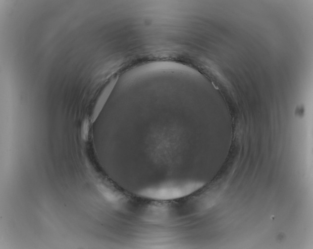 X0000091520076200709141423