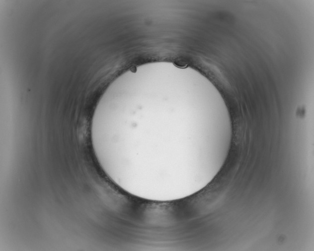 X0000091520077200709141423