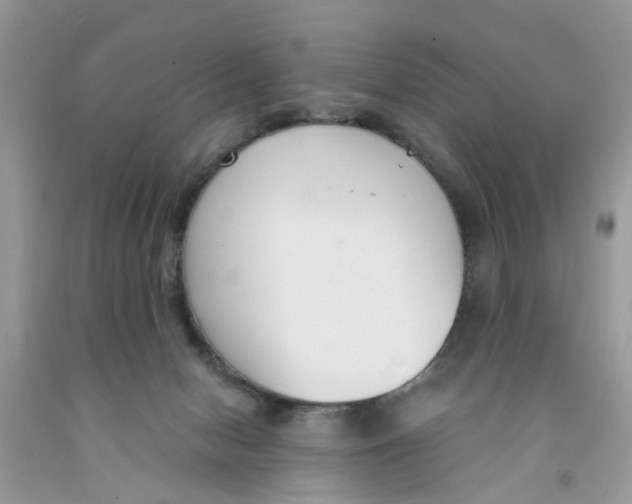 X0000091520078200709141423