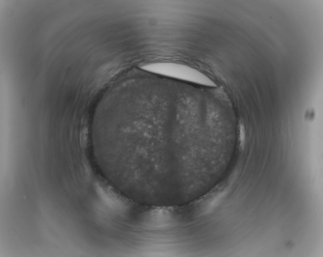 X0000091520080200709141423