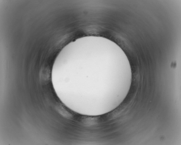 X0000091520081200709141423