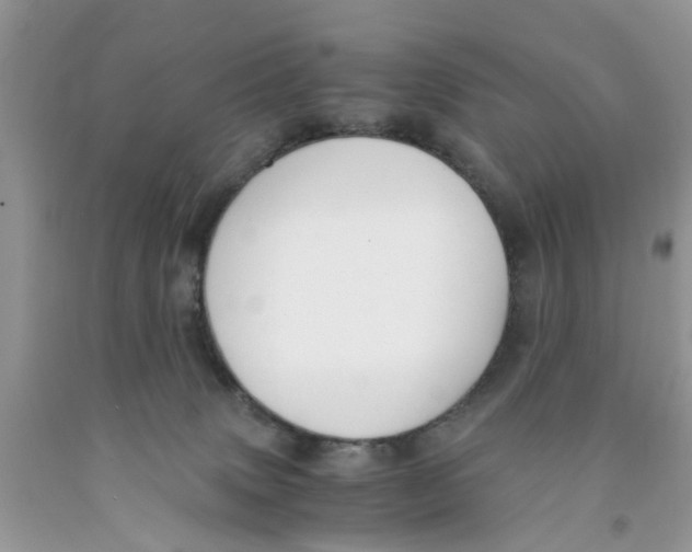 X0000091520083200709141423