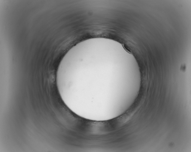 X0000091520085200709141423