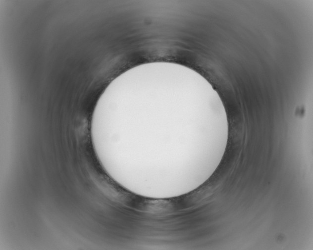 X0000091520087200709141423