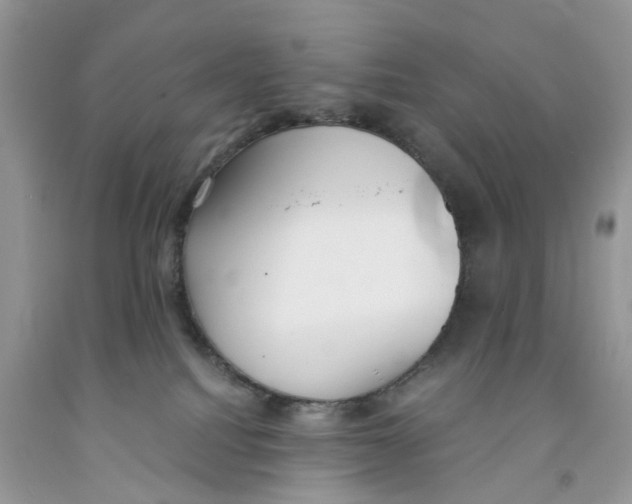 X0000091520088200709141423