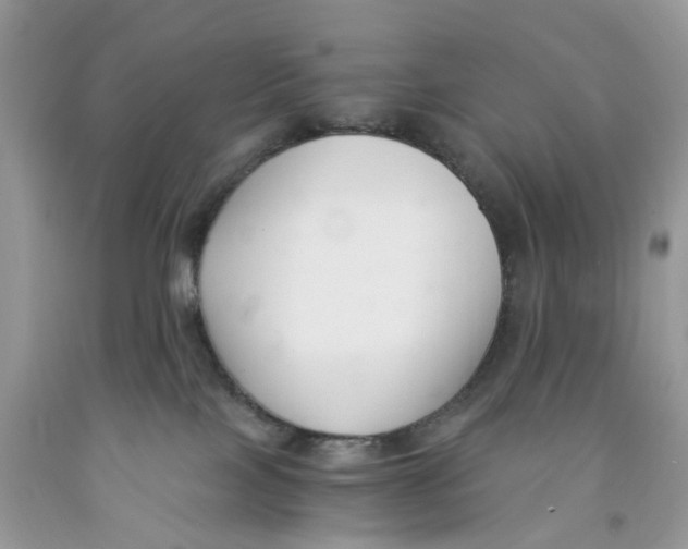 X0000091520089200709141423