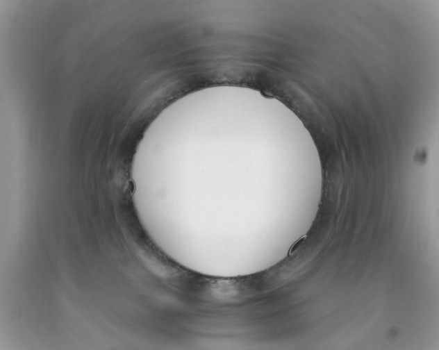 X0000091520091200709141423