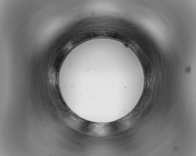 X0000091520093200709141423