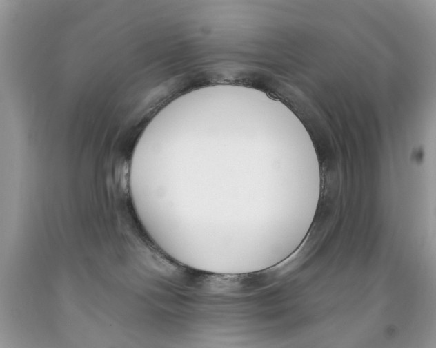 X0000091520094200709141423