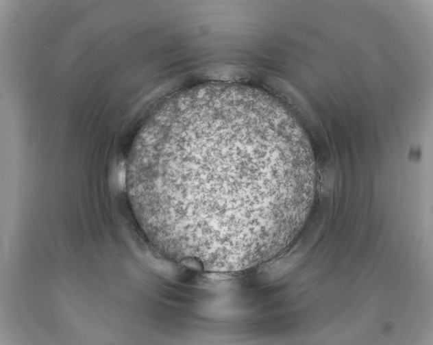 X0000091520095200709141423