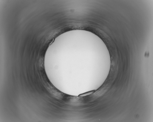 X0000091520096200709141423