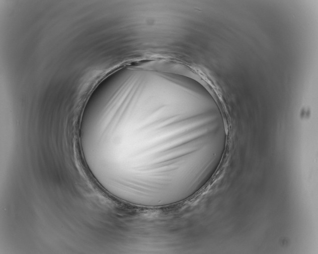 X0000091520097200709141423