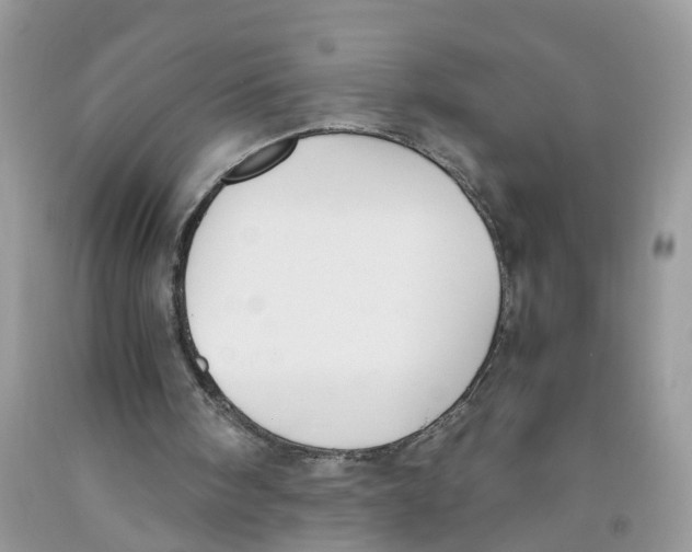 X0000091520098200709141423