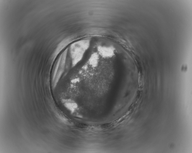 X0000091520099200709141423