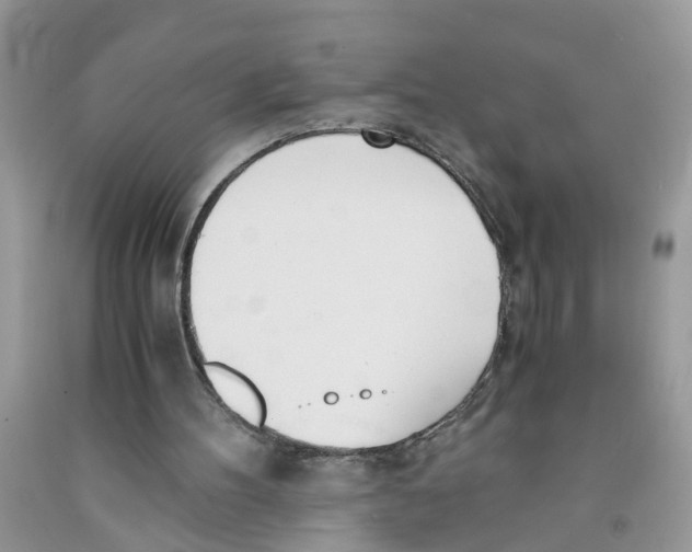 X0000091520100200709141423