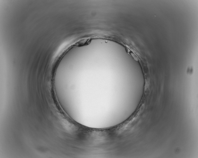 X0000091520101200709141423