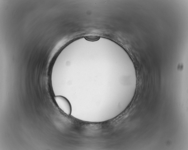 X0000091520102200709141423