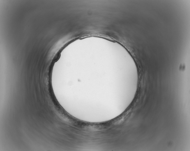 X0000091520103200709141423