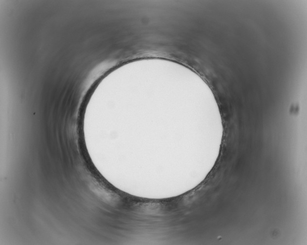 X0000091520104200709141422