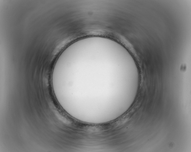 X0000091520106200709141422